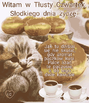 Uroczy kotek składa życzenia na tłusty czwartek
